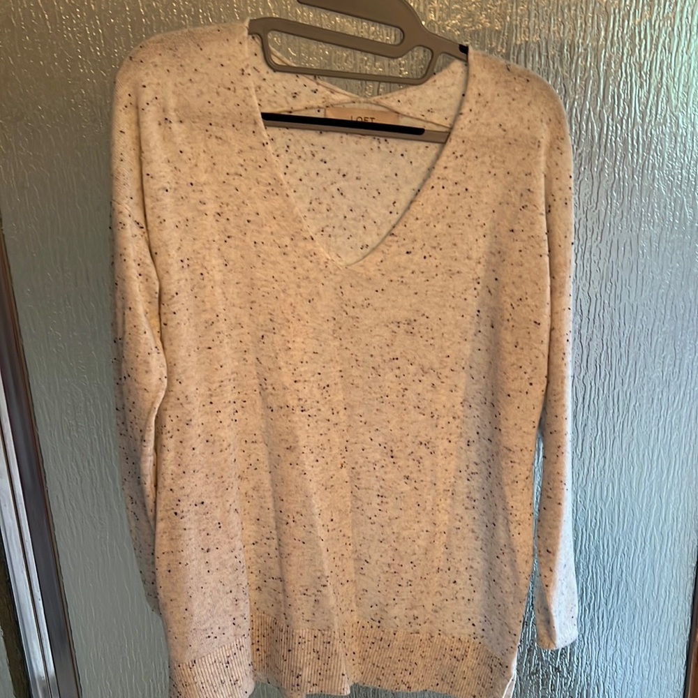 LOFT Neutral V Neck Sweater